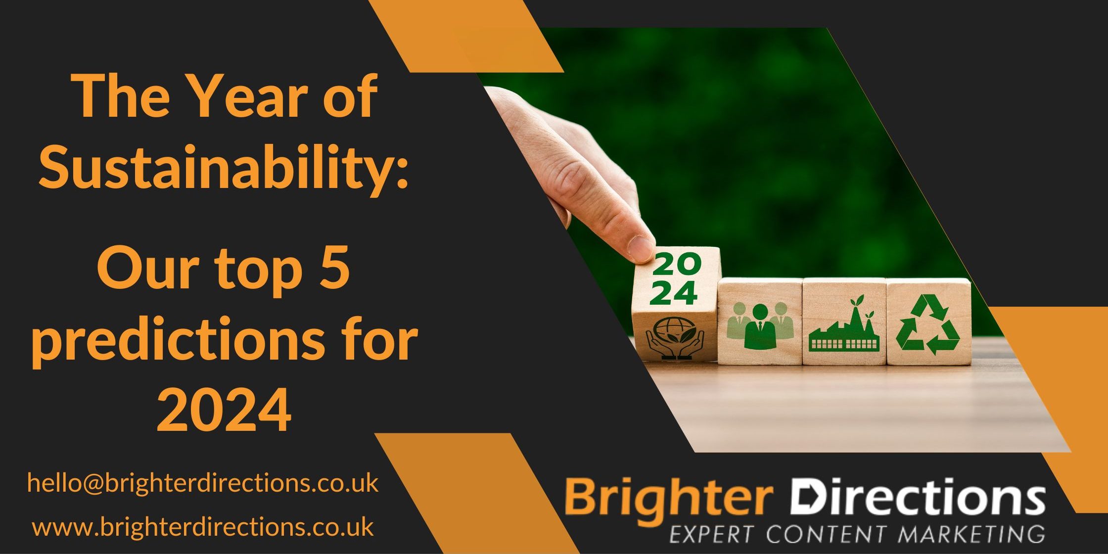 The year of sustainability